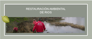 Restauraciones Ambientales de Ríos y Cauces